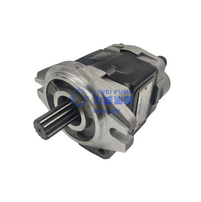 Từ năm 1956 Hewei Phụ tùng xe nâng Máy bơm thủy lực 91E71-10200 69101-FK281